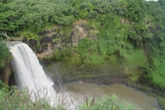 DSC02551