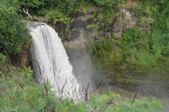 DSC02560