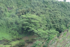 DSC02563