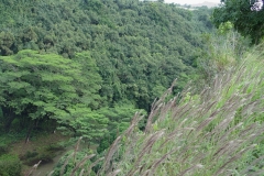 DSC02564