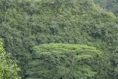 DSC02579