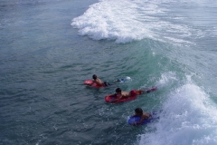 DSC03319