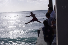 DSC03323