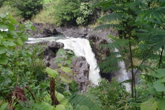 DSC03350