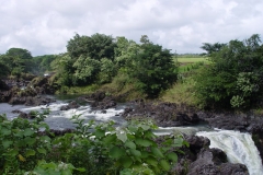 DSC03353