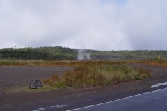 DSC03355