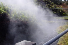 DSC03357