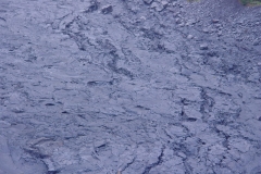 DSC03401