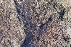 DSC03411