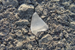 DSC03426