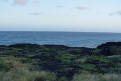 DSC03435
