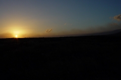 DSC03441