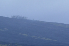 DSC03451