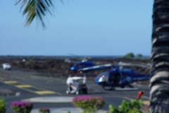 DSC03464