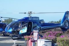DSC03466