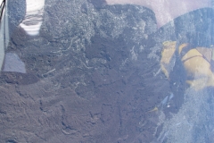 DSC03489