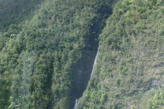 DSC03633