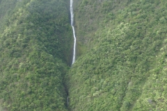 DSC03634