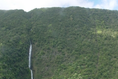 DSC03635