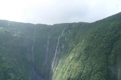 DSC03637