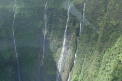 DSC03639