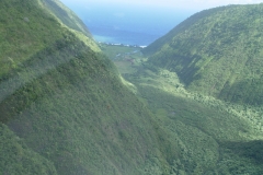 DSC03642