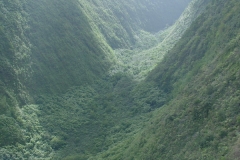 DSC03643