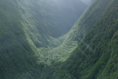 DSC03644