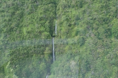 DSC03646