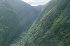 DSC03647