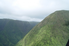 DSC03650