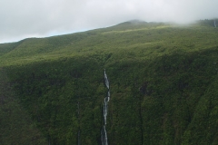 DSC03655