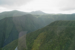 DSC03657