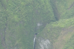 DSC03658