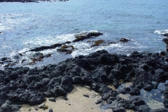 DSC03665