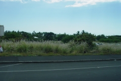 DSC03675