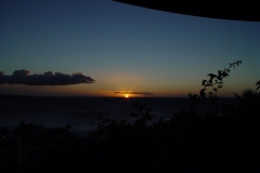DSC03709