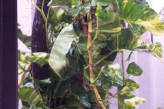 DCP_2666