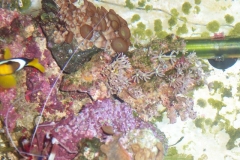 DCP_0508