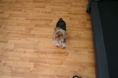 2_28_2006_2_43_08_PM_0001