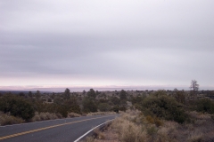 DCP_4865