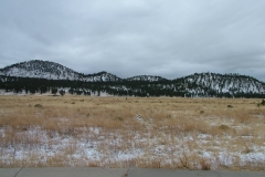 DSCF1036