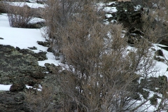 DSCF1052