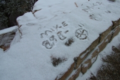 DSCF1098