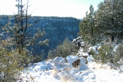 DSCF1121