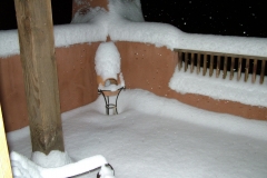 DSCF1155