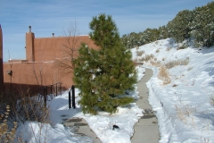 DSCF1163