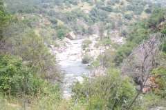 DCP_1723