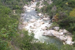 DCP_1724
