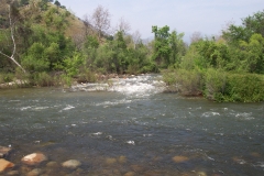 DCP_1732